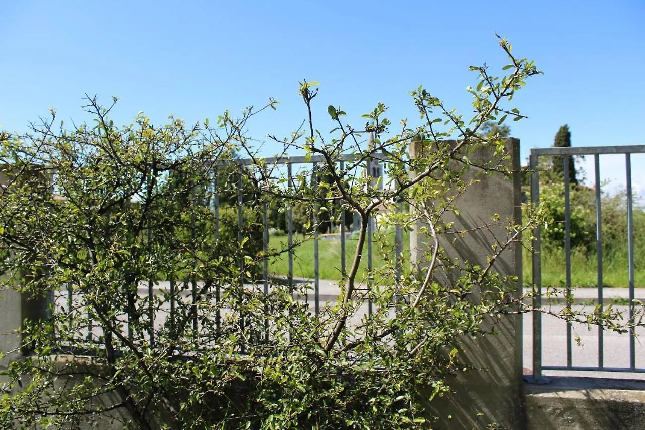 Villa Madi San Lorenzo  San Lorenzo (Friuli-Venezia Giulia)